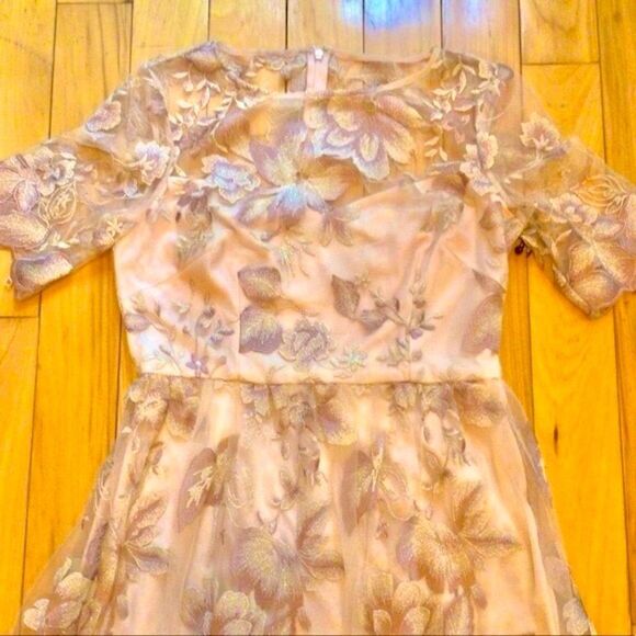 ADRIANNA PAPELL ROSE QUART LONG ILLUSION MESH DRESS 8 NWT - Picture 15 of 16